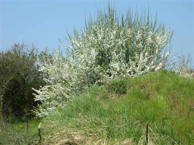 Foto: 26