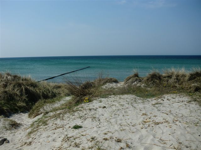 Foto: 52