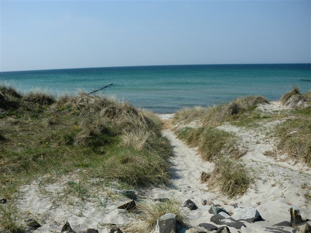 Foto: 43