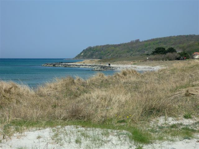 Foto: 11
