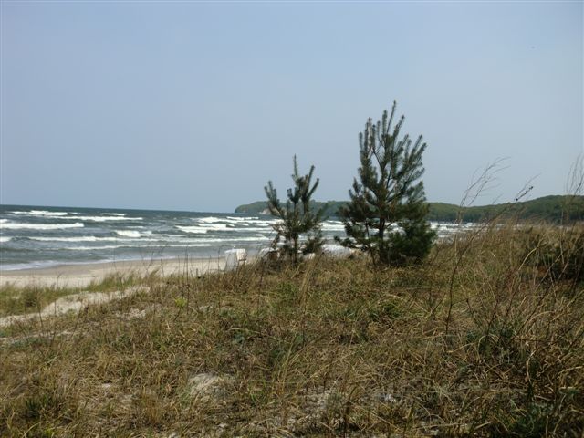 Foto: 13