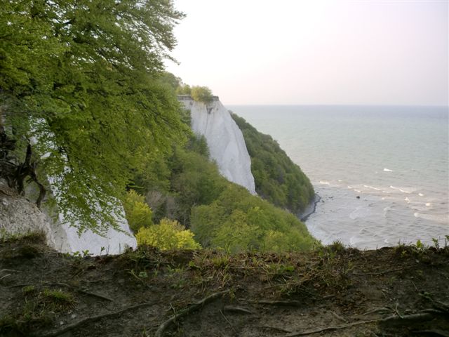 Foto: 6