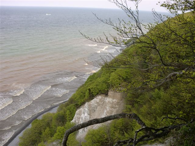 Foto: 7