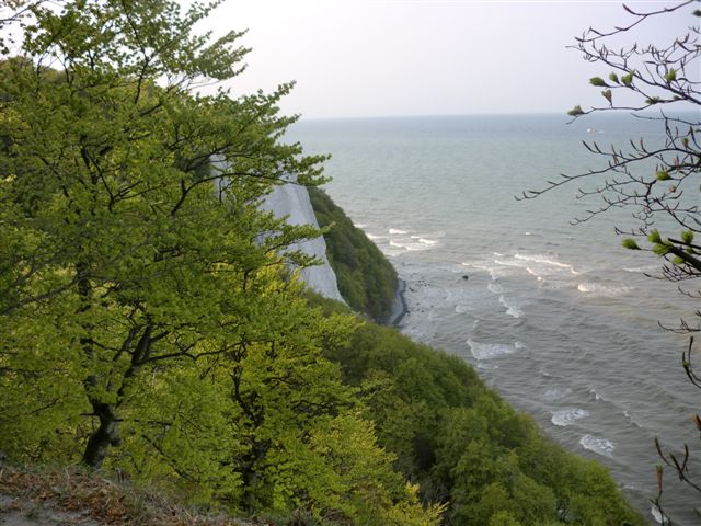 Foto: 65